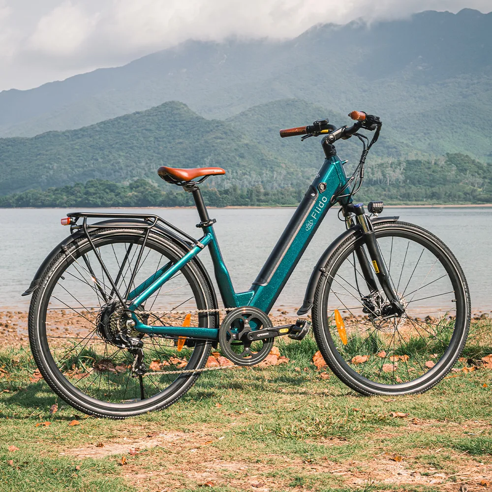 Fiido C11 Pro: Lightweight, 65 miles Long Range, IP54 Waterproof - Image 10