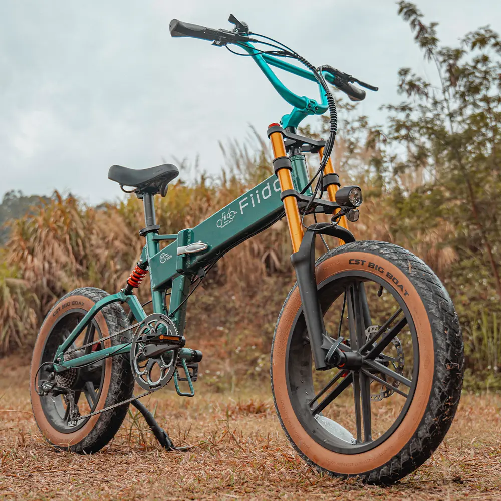 Fiido M1 Pro Fat Tire Electric Bike - Image 5