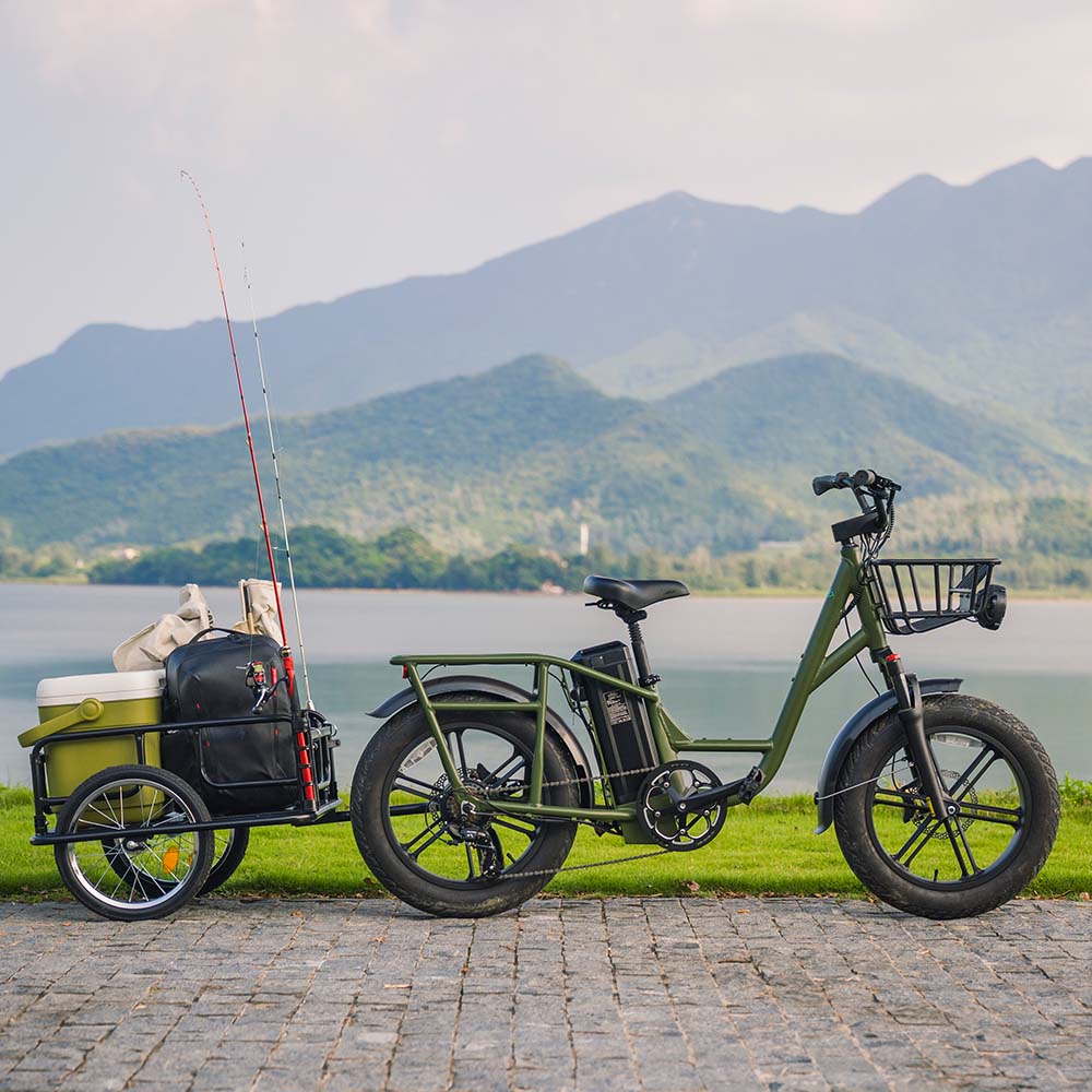 Fiido T1 Pro Utility Electric Bike - Image 3
