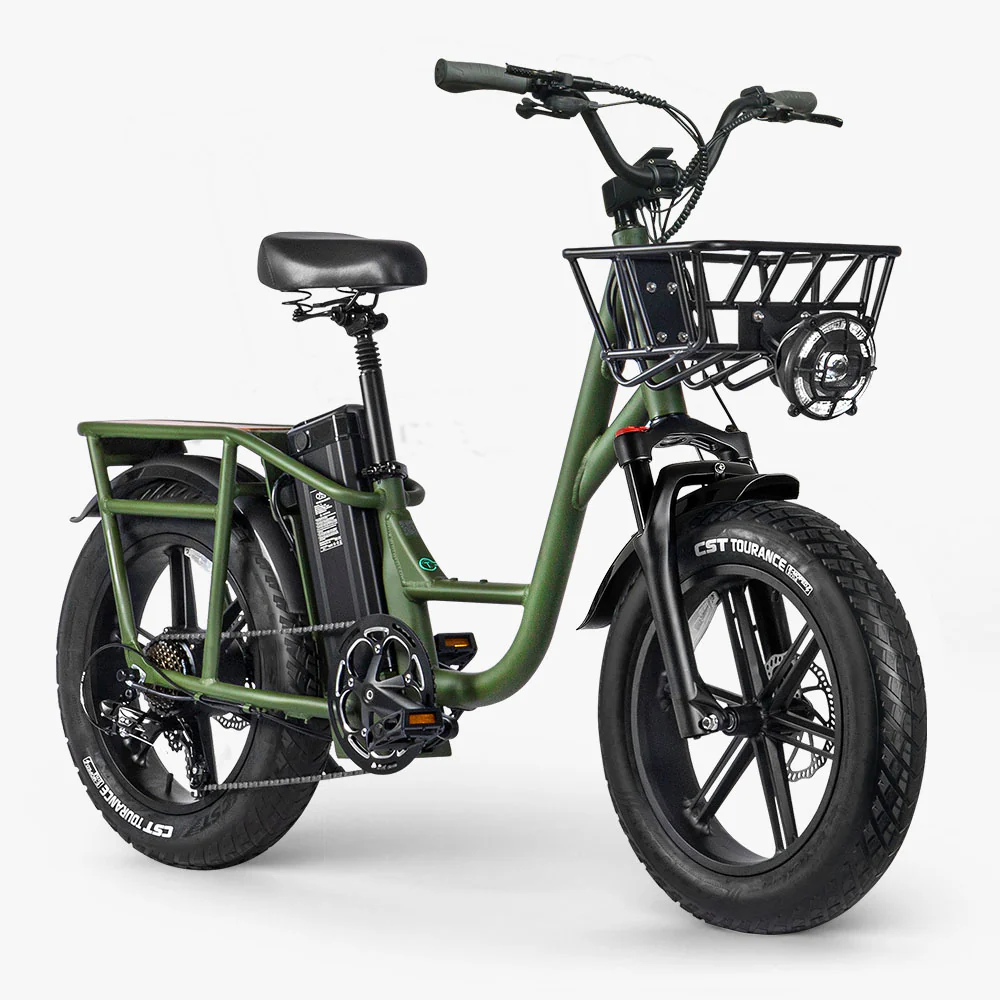 Fiido T1 Pro Utility Electric Bike - Image 6