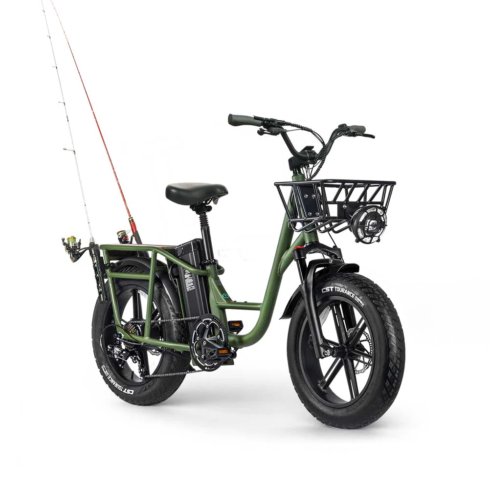 Fiido T1 Pro Utility Electric Bike - Image 7