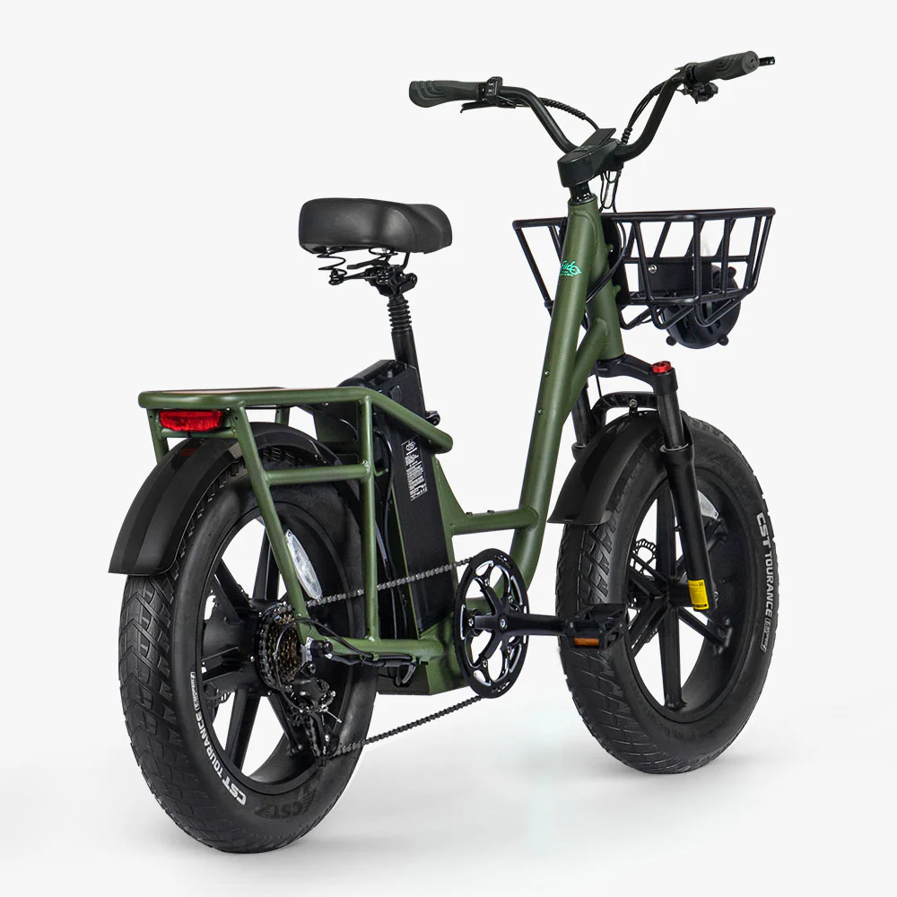 Fiido T1 Pro Utility Electric Bike - Image 8