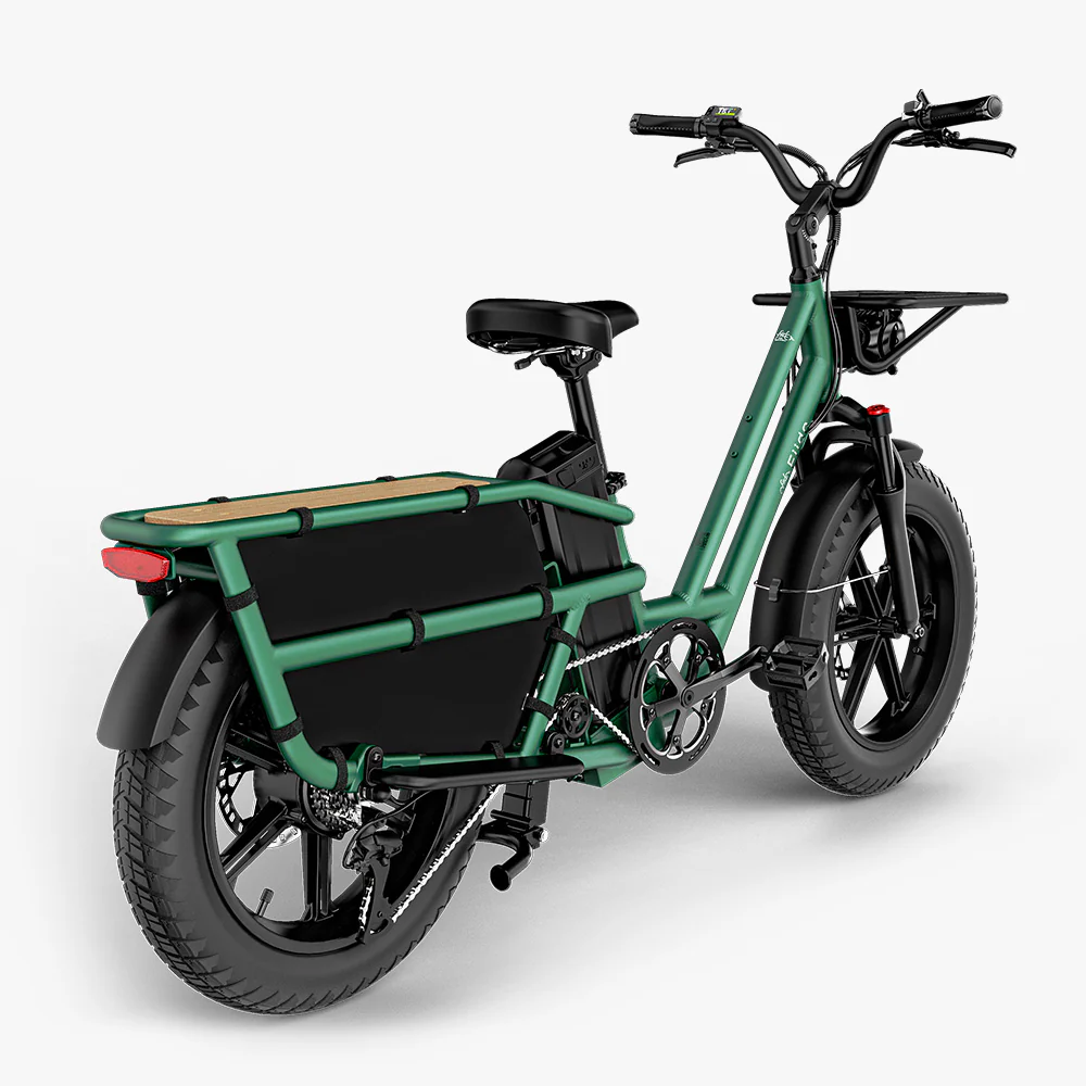 Fiido T2 Longtail Cargo E-bike - Image 12