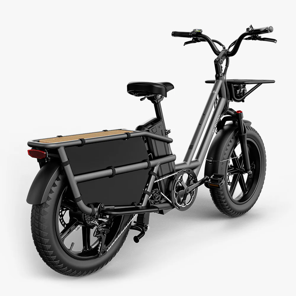 Fiido T2 Longtail Cargo E-bike - Image 13