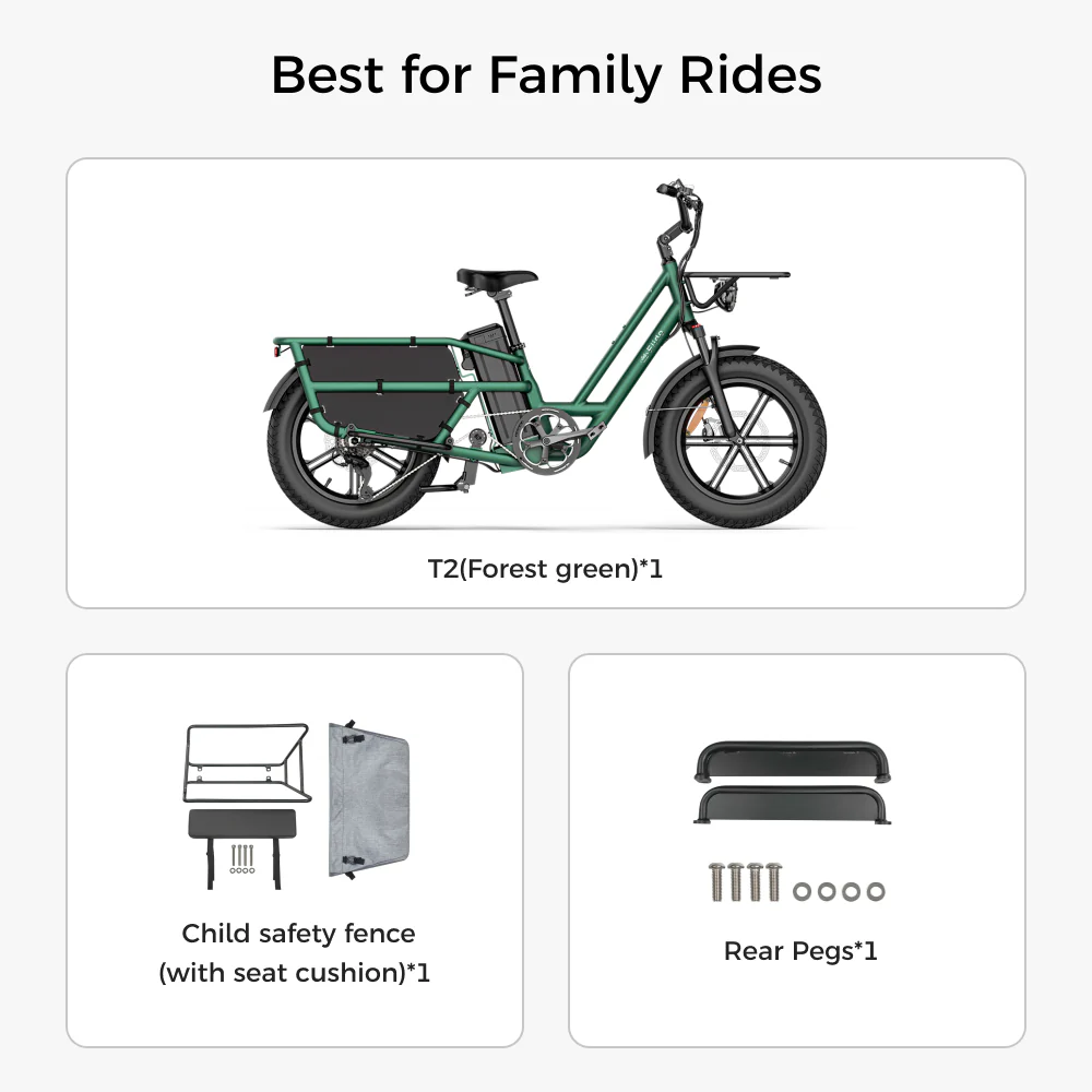 Fiido T2 Longtail Cargo E-bike - Image 15