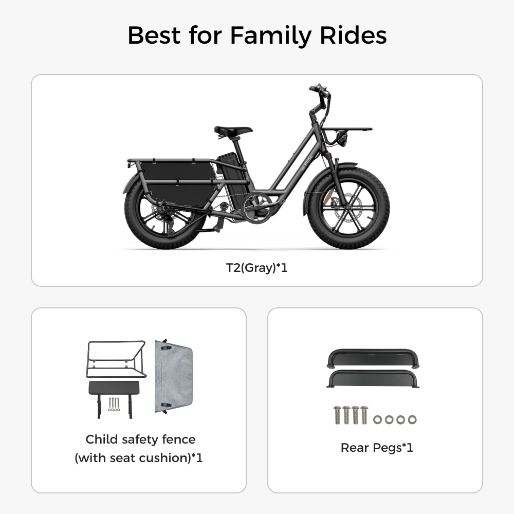Fiido T2 Longtail Cargo E-bike - Image 16